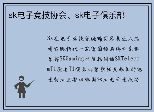 sk电子竞技协会、sk电子俱乐部